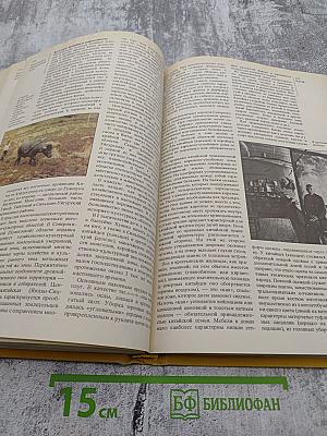 Страны и народы. Зарубежная Азия. Восточная и Центральная Азия