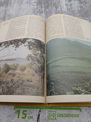 Страны и народы. Зарубежная Азия. Восточная и Центральная Азия