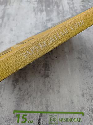 Страны и народы. Зарубежная Азия. Восточная и Центральная Азия