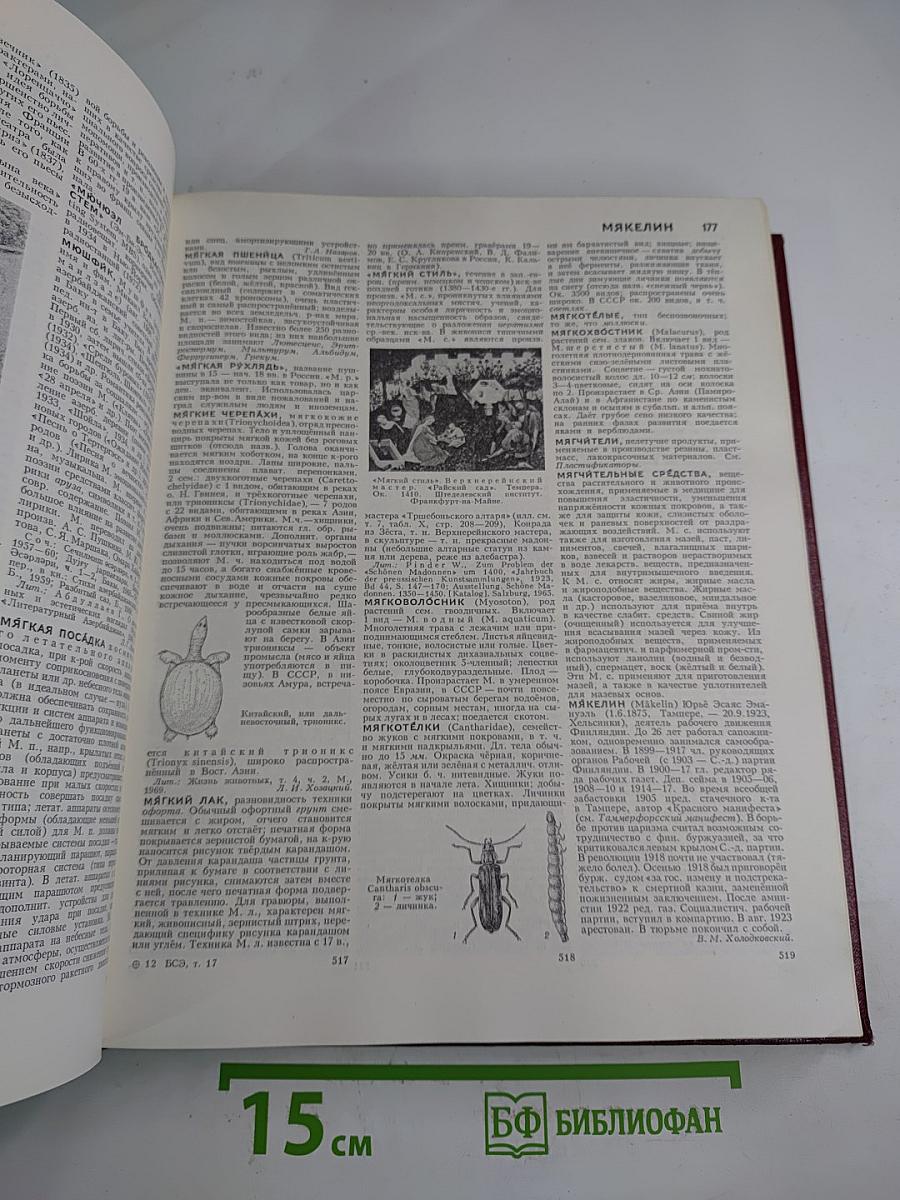 Большая Советская Энциклопедия. Том 17