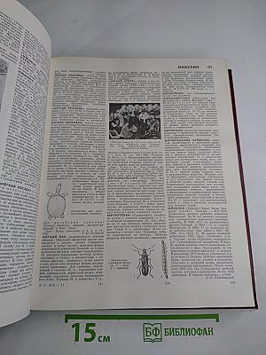 Большая Советская Энциклопедия. Том 17