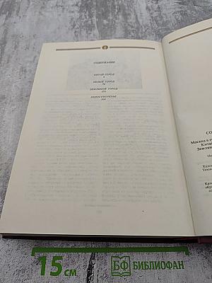 Сорок сороков. Москва в границах Садового кольца: Китай-город, Белый город, Земляной город, Замоскворечье. Том второй