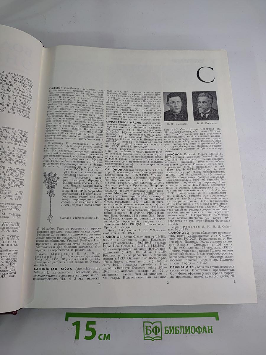 Большая Советская Энциклопедия. Том 23: Сафлор – Соан