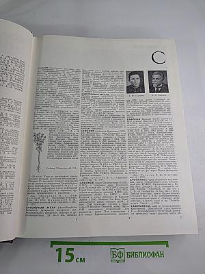 Большая Советская Энциклопедия. Том 23: Сафлор – Соан