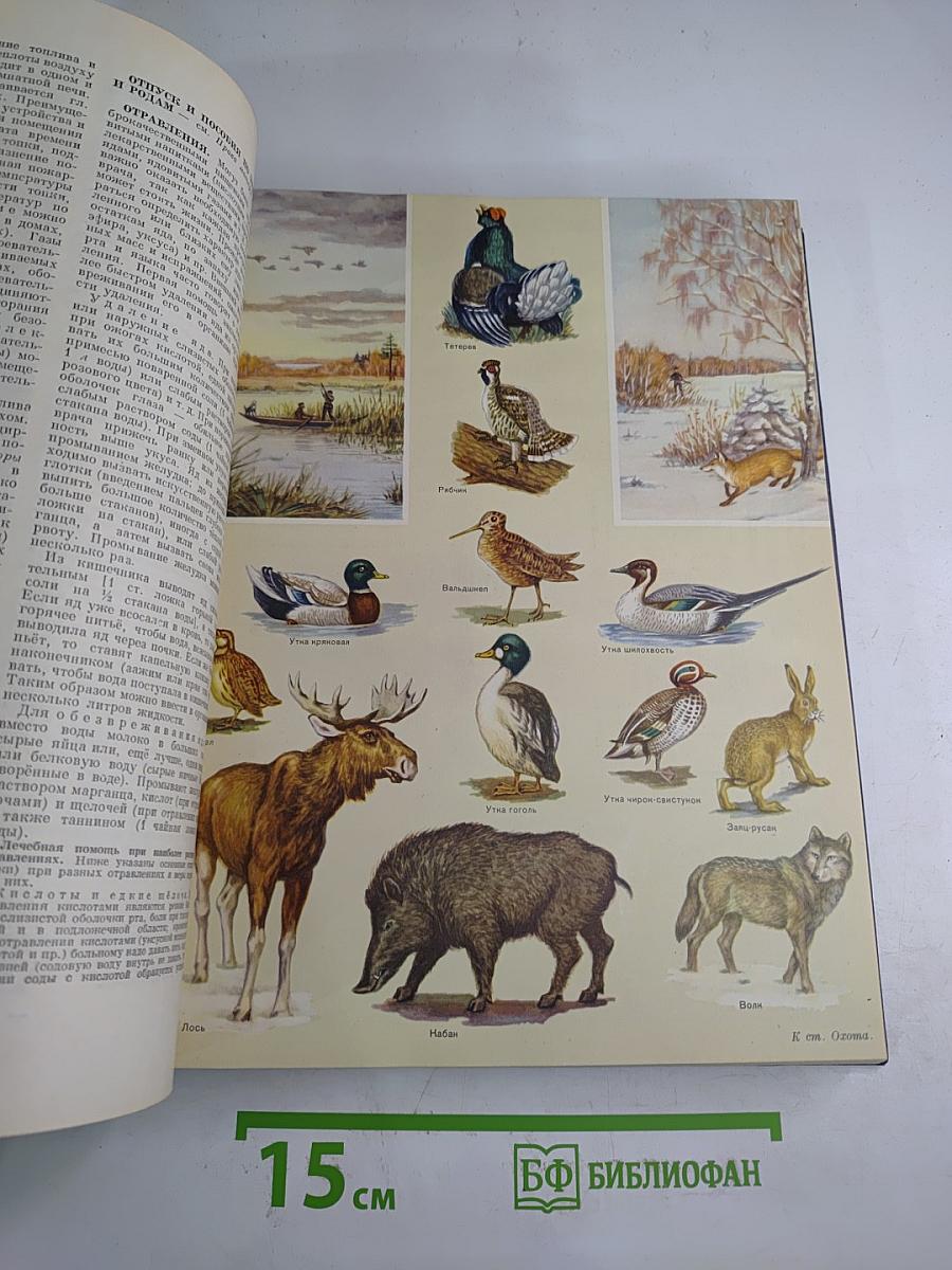 Краткая энциклопедия домашнего хозяйства. Том второй О-Я