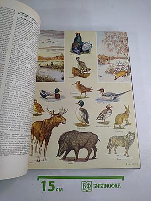 Краткая энциклопедия домашнего хозяйства. Том второй О-Я