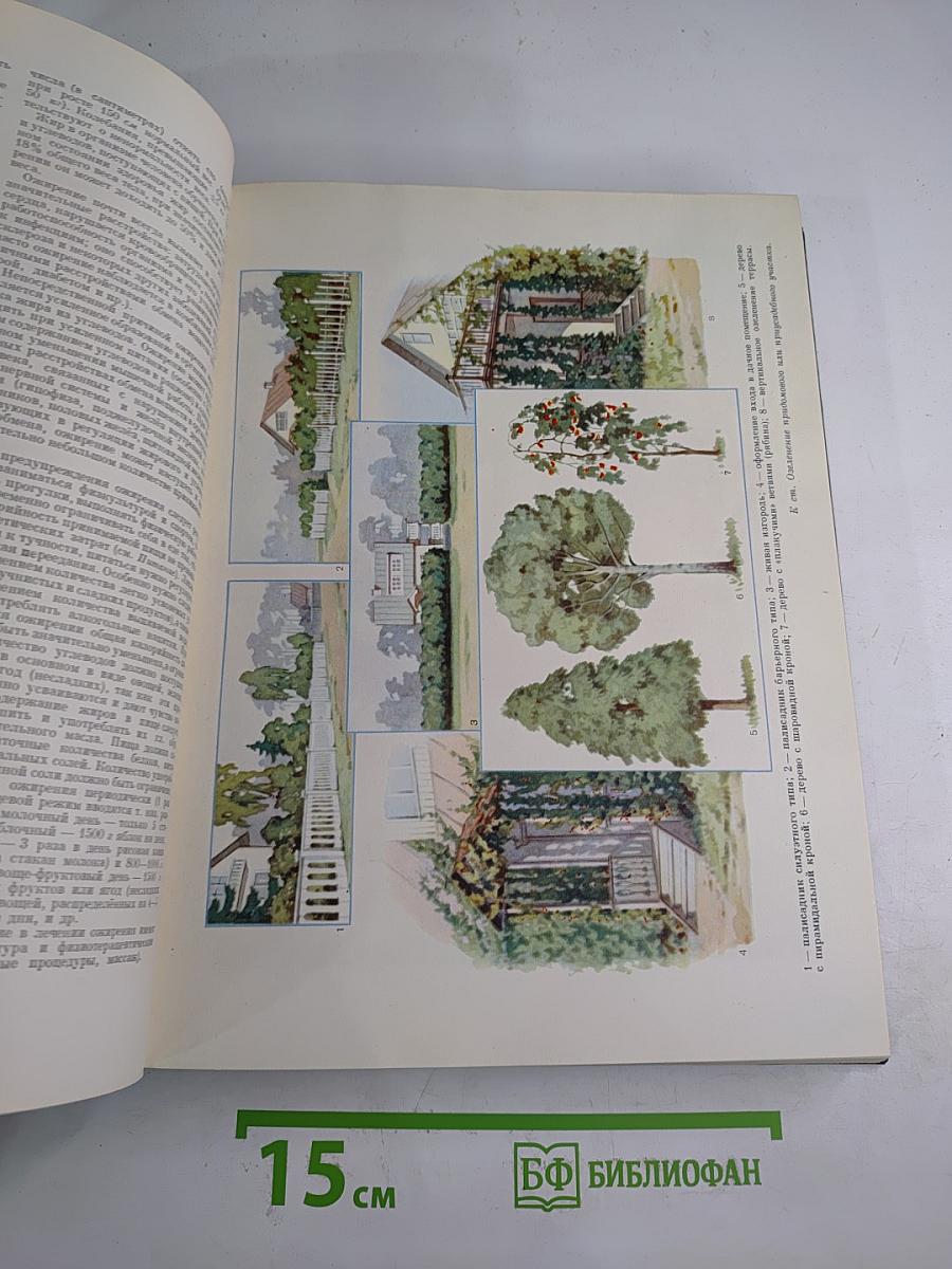 Краткая энциклопедия домашнего хозяйства. Том второй О-Я