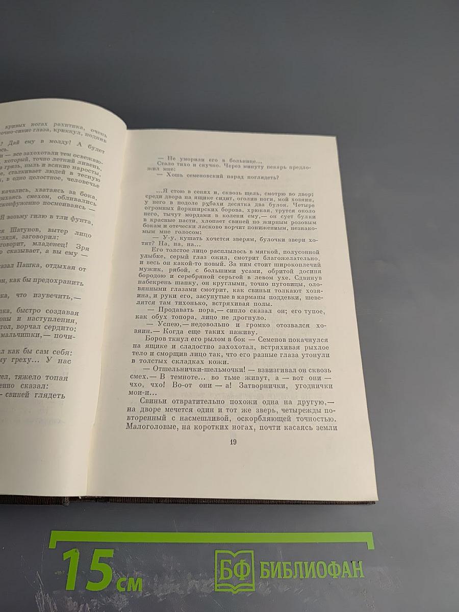 Полное собрание сочинений. Художественные произведения. Том четырнадцатый. Повесть, рассказы 1912-1917