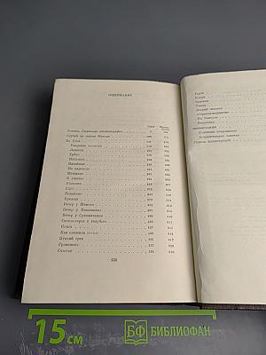 Полное собрание сочинений. Художественные произведения. Том четырнадцатый. Повесть, рассказы 1912-1917