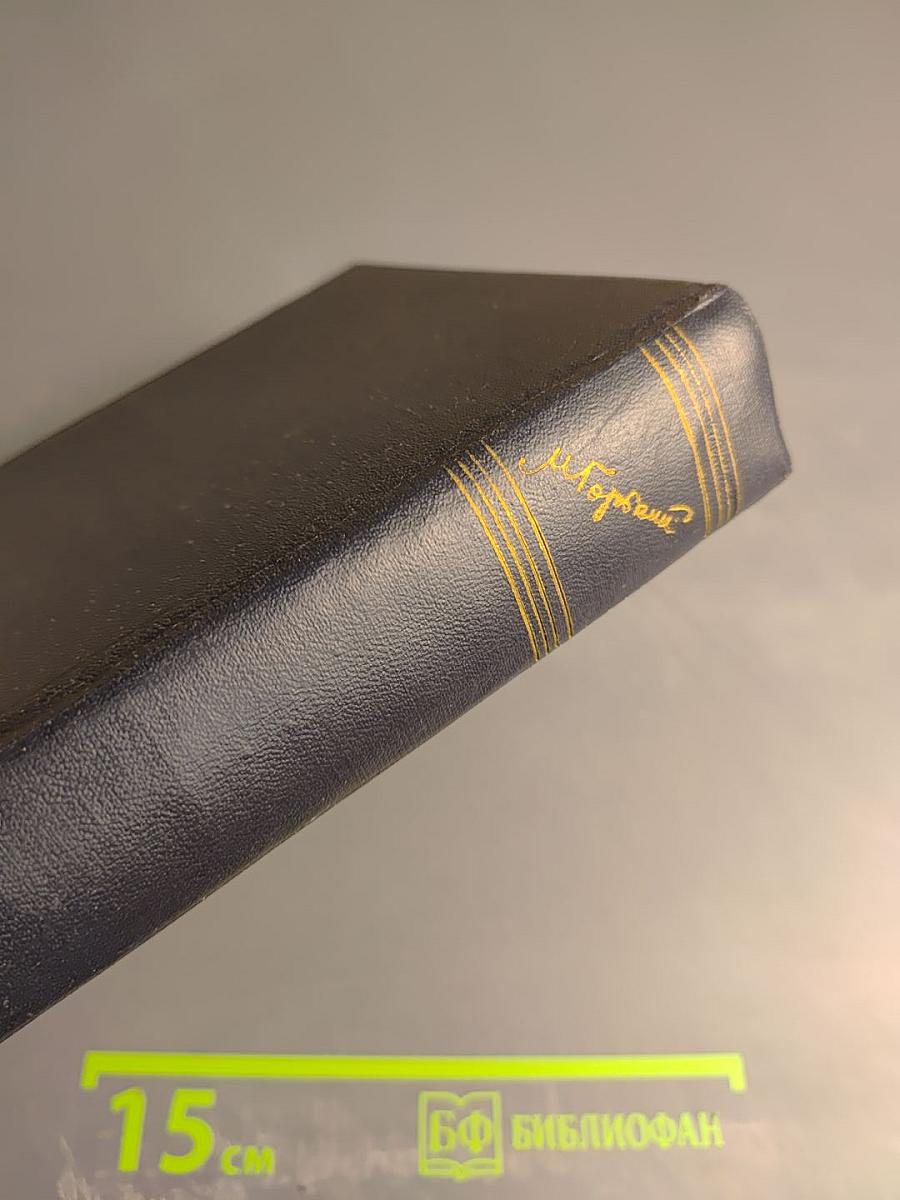 Собрание сочинений в тридцати томах. Том 24. Статьи, речи, приветствия. 1907-1928