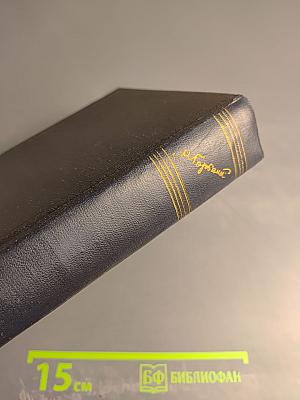 Собрание сочинений в тридцати томах. Том 24. Статьи, речи, приветствия. 1907-1928
