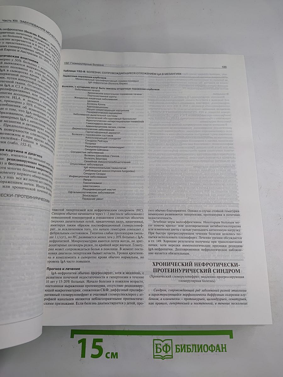 Руководство по медицине. Том II