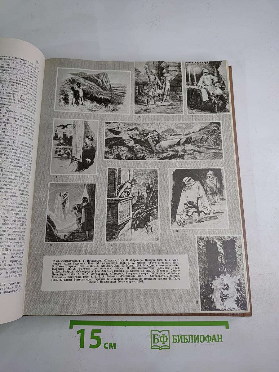 Краткая литературная энциклопедия. Том 6