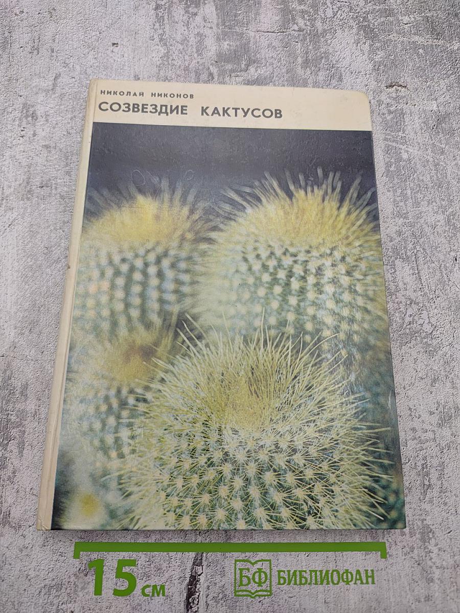 Созвездие кактусов