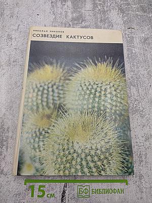 Созвездие кактусов