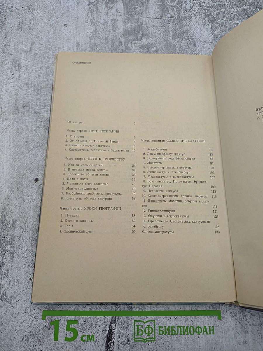 Созвездие кактусов
