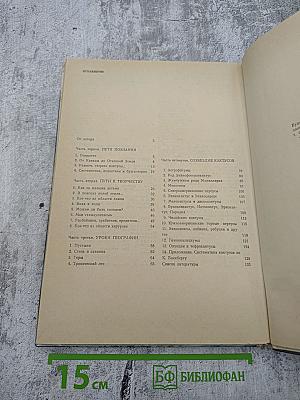 Созвездие кактусов