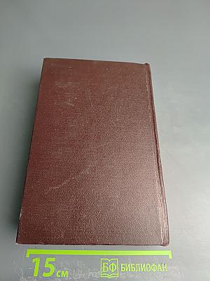 Русское литературное произношение и ударение. Словарь-справочник