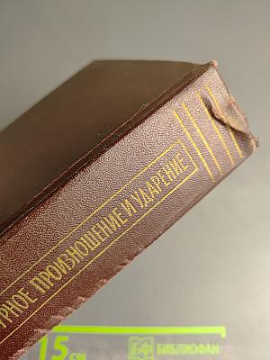 Русское литературное произношение и ударение. Словарь-справочник