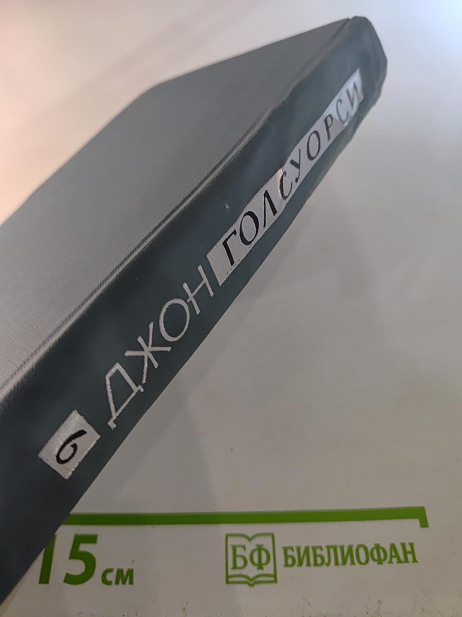 Собрание сочинений в шестнадцати томах. Том 6