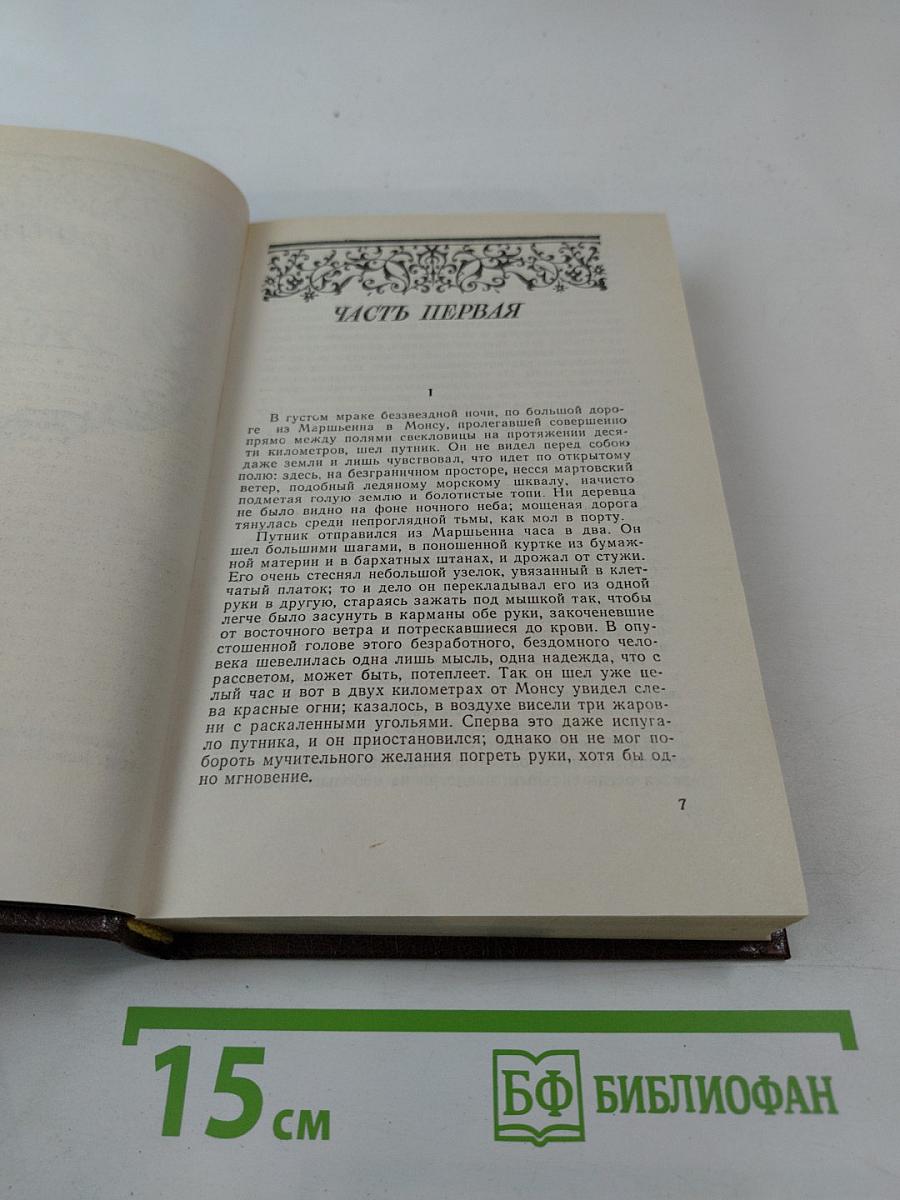 Жерминаль. Том двенадцатый