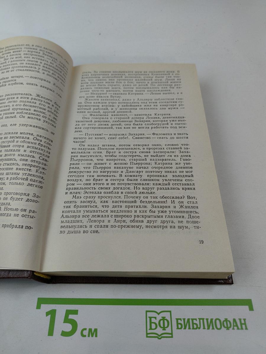 Жерминаль. Том двенадцатый