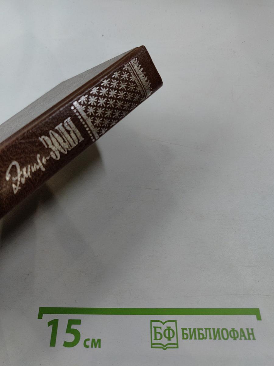 Жерминаль. Том двенадцатый