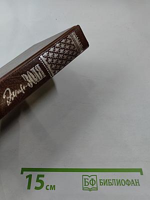 Жерминаль. Том двенадцатый