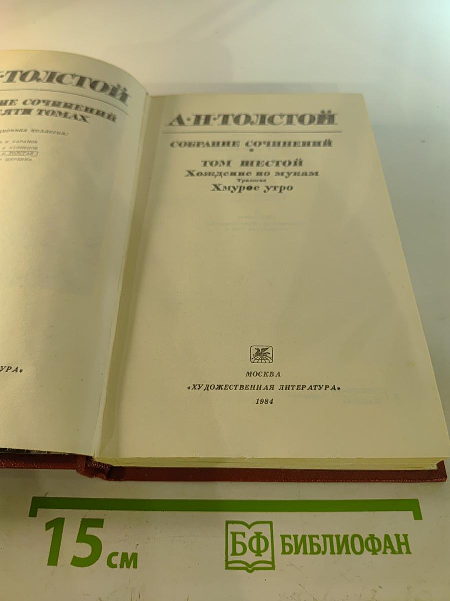 Хождение по мукам. Хмурое утро (Том 6)