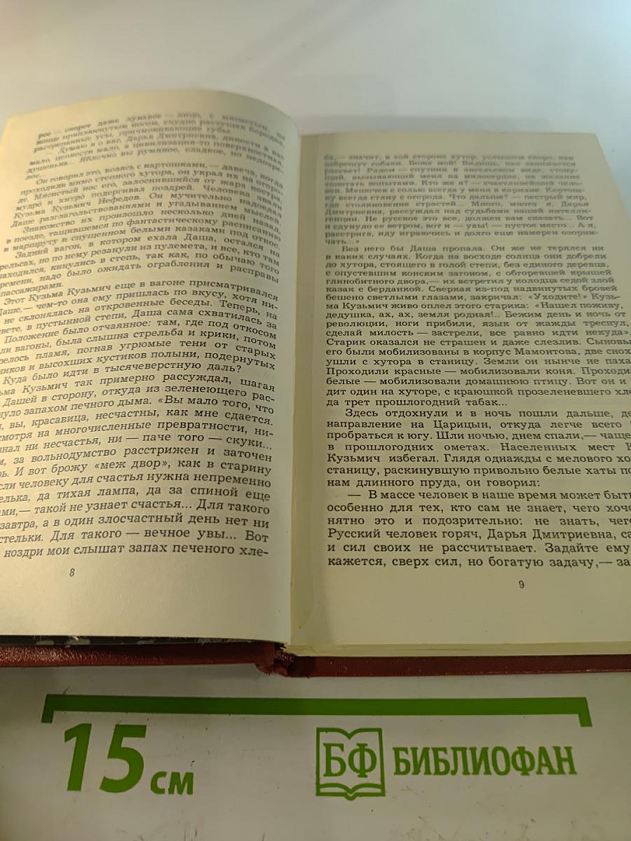 Хождение по мукам. Хмурое утро (Том 6)