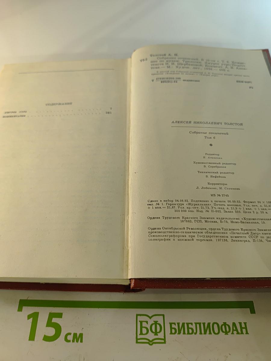 Хождение по мукам. Хмурое утро (Том 6)