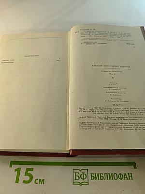 Хождение по мукам. Хмурое утро (Том 6)