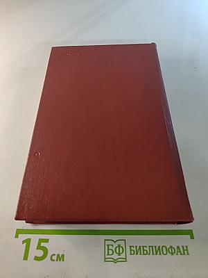 Хождение по мукам. Хмурое утро (Том 6)