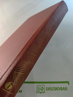 Хождение по мукам. Хмурое утро (Том 6)