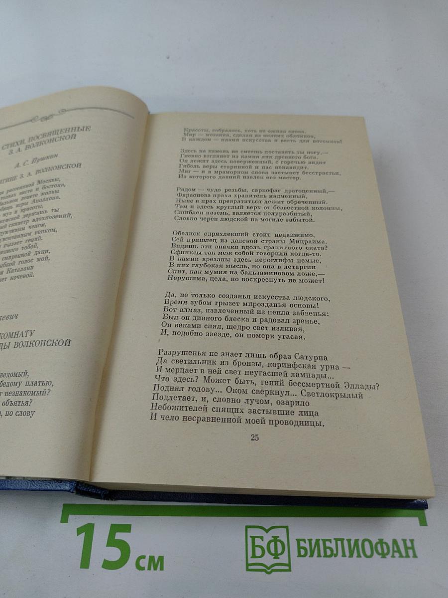 В царстве муз: Московский литературный салон Зинаиды Волконской. 1824-1829 гг.