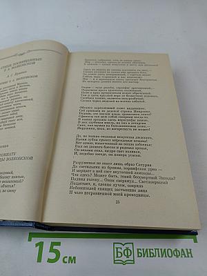 В царстве муз: Московский литературный салон Зинаиды Волконской. 1824-1829 гг.