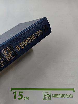 В царстве муз: Московский литературный салон Зинаиды Волконской. 1824-1829 гг.