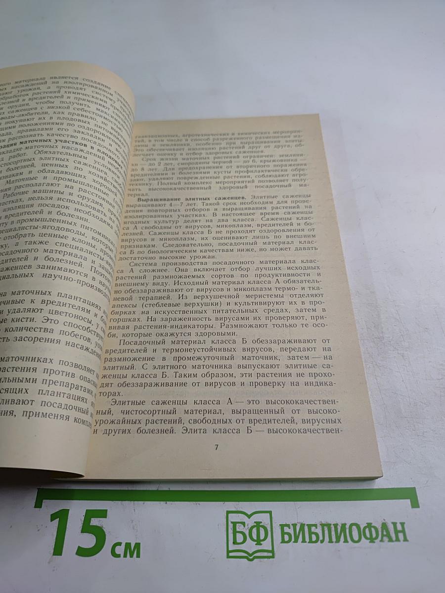 Ягодный сад