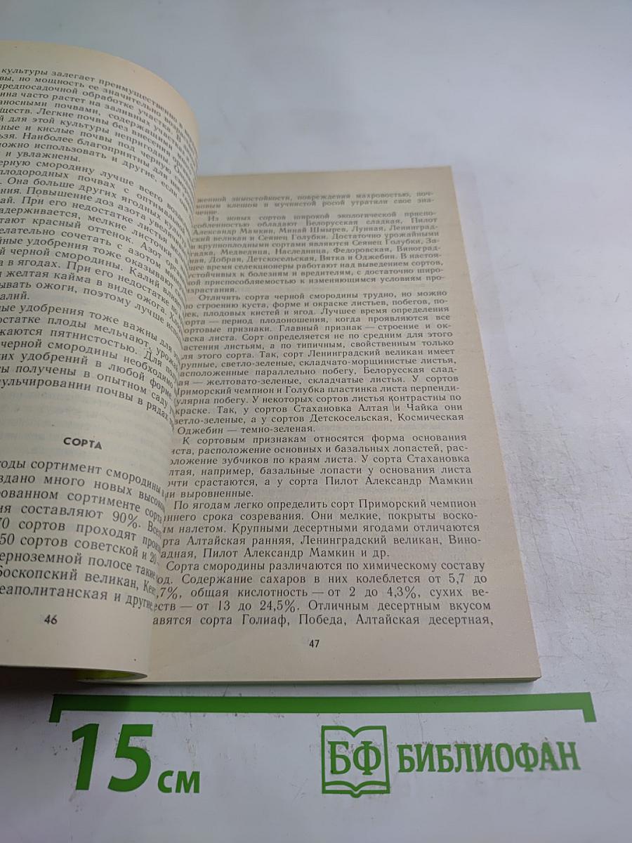 Ягодный сад