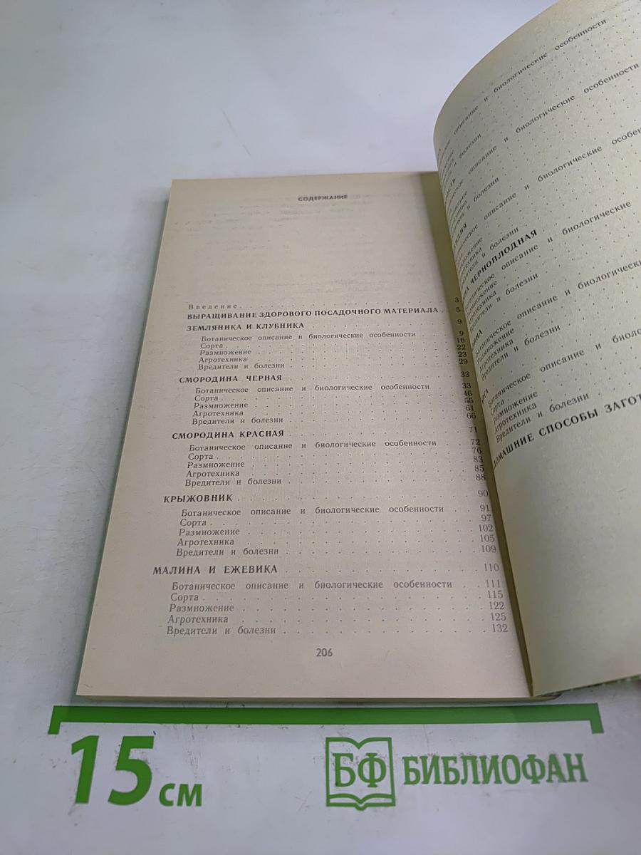 Ягодный сад