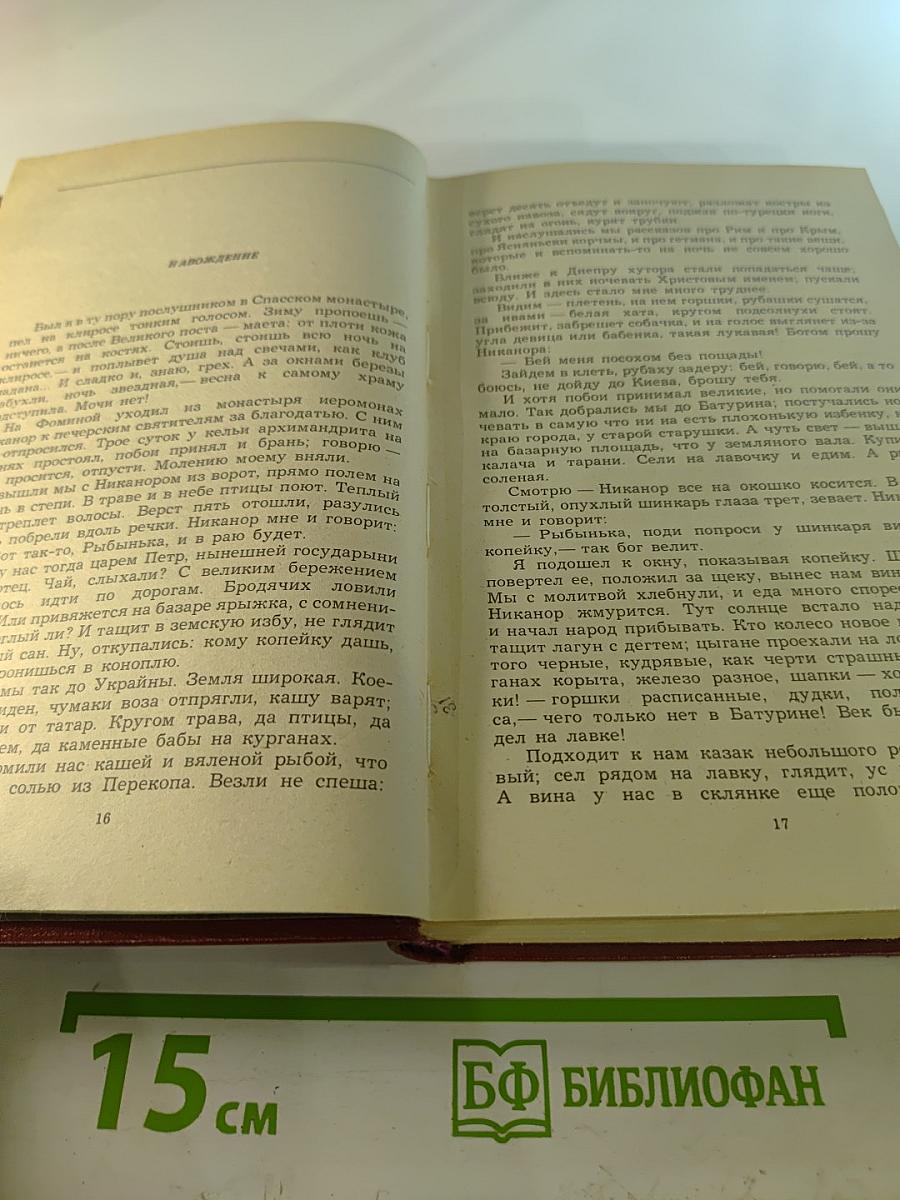 Собрание сочинений. Том третий: Повести и рассказы 1917–1923, Детство Никиты, Ибикус