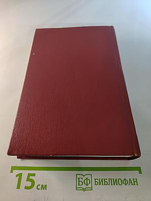 Собрание сочинений. Том третий: Повести и рассказы 1917–1923, Детство Никиты, Ибикус