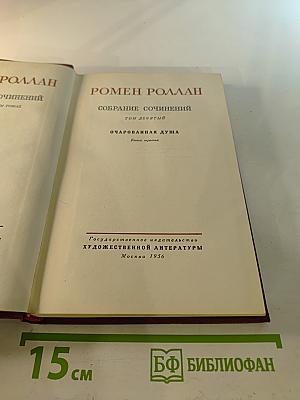 Собрание сочинений. Том девятый. Очарованная душа. Книга третья