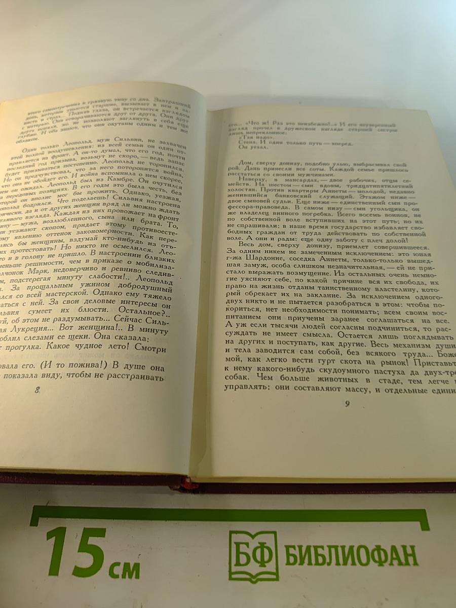 Собрание сочинений. Том девятый. Очарованная душа. Книга третья