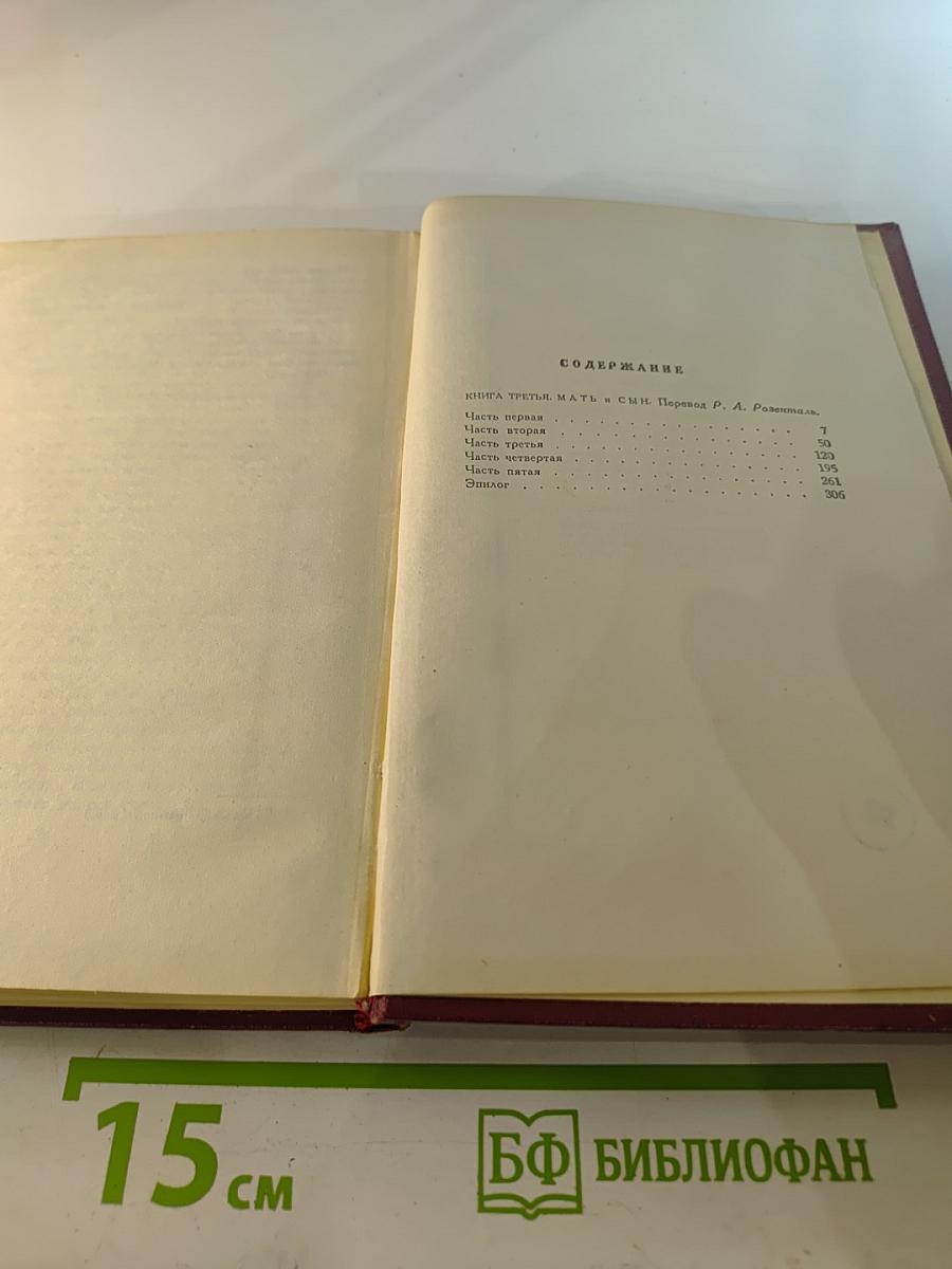 Собрание сочинений. Том девятый. Очарованная душа. Книга третья