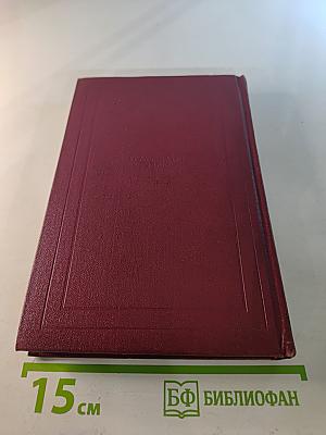 Собрание сочинений. Том девятый. Очарованная душа. Книга третья