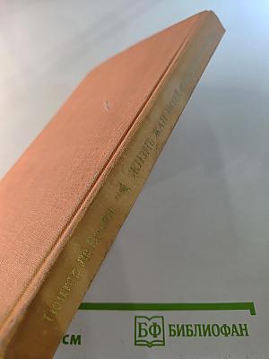 Жизнь Жан-Поля Фридриха Рихтера