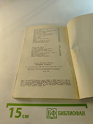 Пробный камень