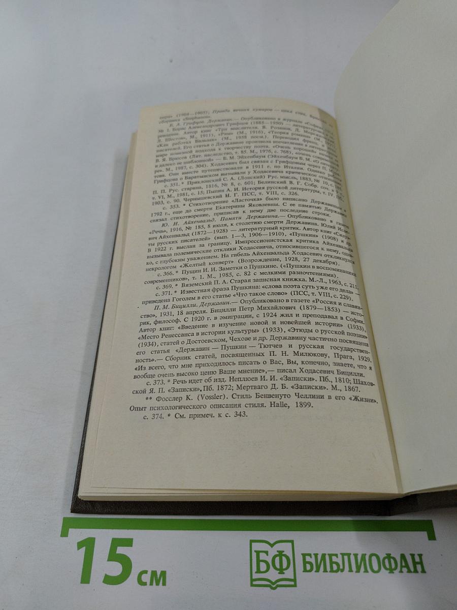 Писатели о писателях. Державин