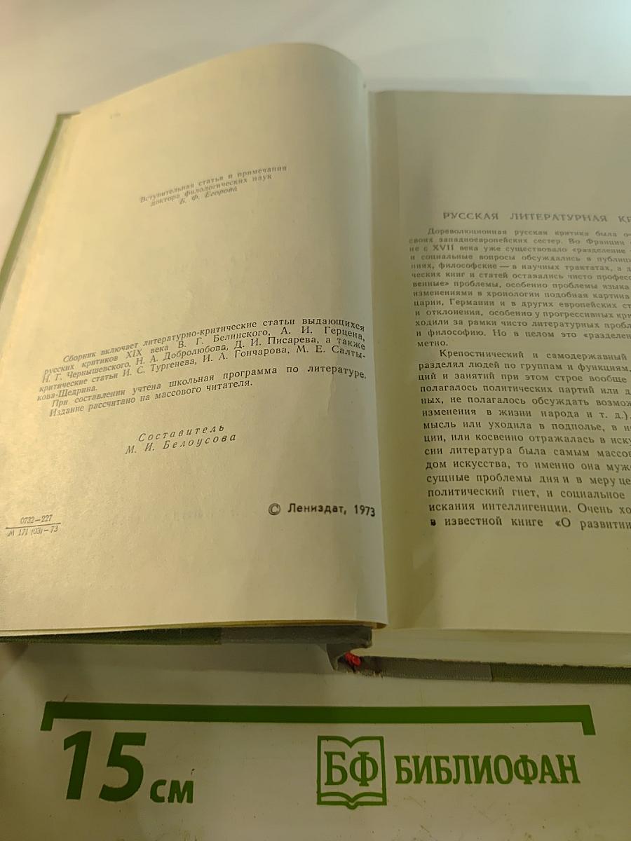 Русская критика